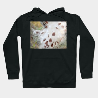 Milkweed Seeds Hoodie